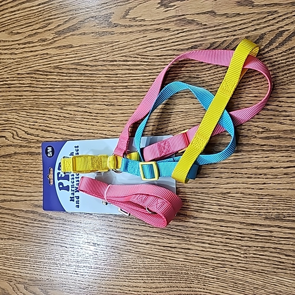 Harness and Leash Dog Set